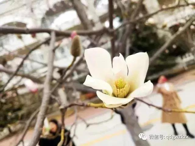 微信图片_20180328003723.jpg