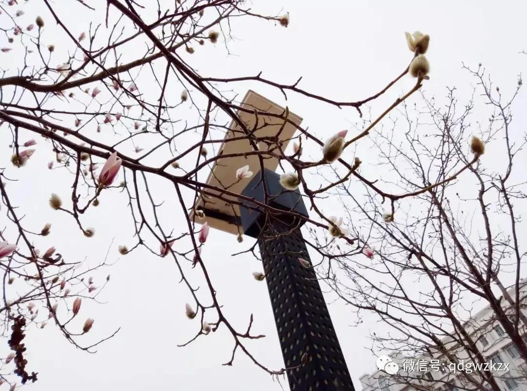 微信图片_20180328003726.jpg