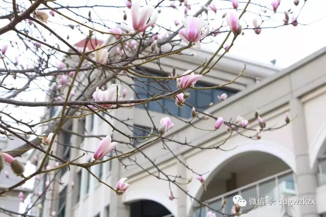 微信图片_20180328003733.jpg